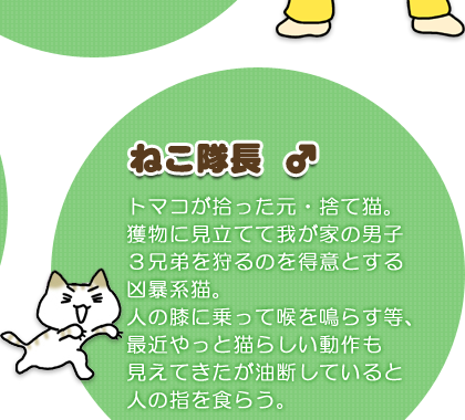 ねこ隊長