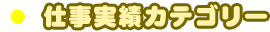 仕事実績カテゴリー
