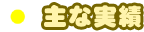 主な実績